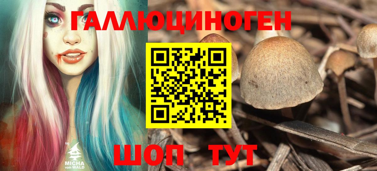 Галлюциногенные грибы прущие грибы Сердобск