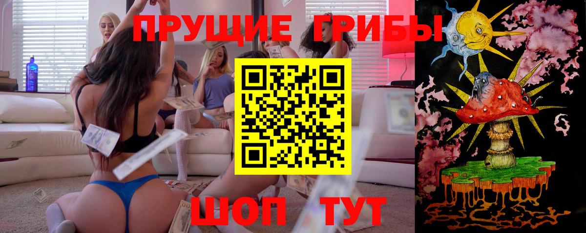 Галлюциногенные грибы Psilocybine cubensis  Вход с VPN  Сердобск  Галлюциногенные грибы мицелий 